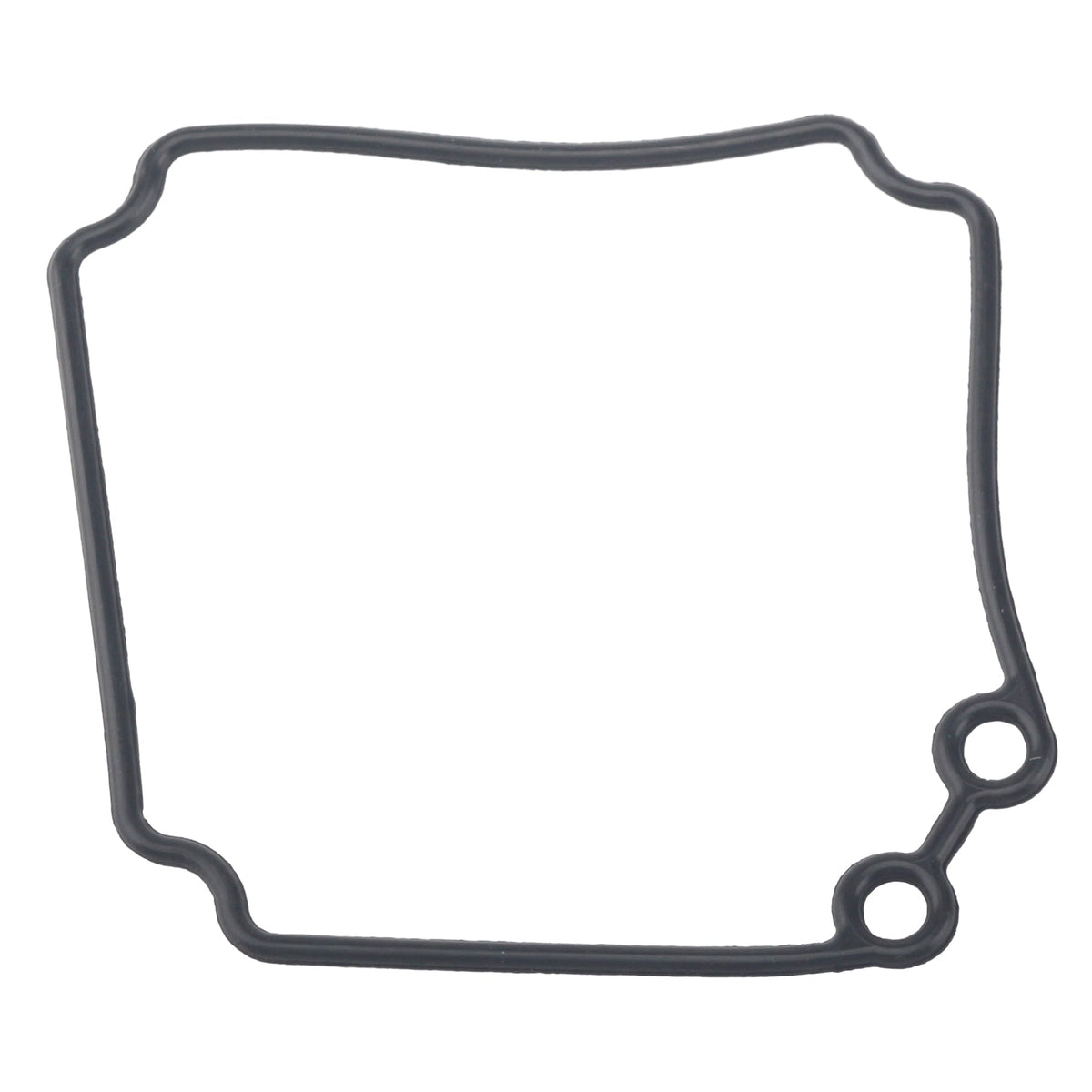 61N-W0093-00 Carburetor Repair Seal Kit Fits Yamaha Outboard C30 (30 HP)