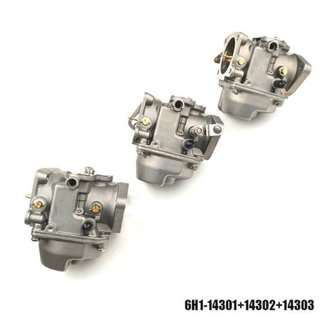 6H1-14301-04-00 Carburetor Assembly Set — Product view 2