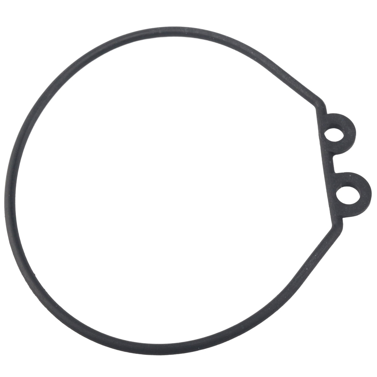 6H3-W0093-01-00 Carburetor Repair Kit Fits Yamaha Outboard P60, C60 (60 HP)