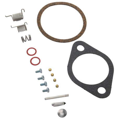 809735A1 Carburetor Repair Kit Fits Chrysler Force — Product view 4