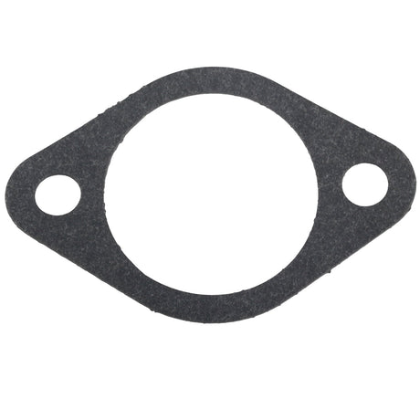 809735A1 Carburetor Repair Kit Fits Chrysler Force — Product view 10